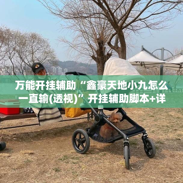 万能开挂辅助“鑫豪天地小九怎么一直输(透视)”开挂辅助脚本+详细开挂安装教程