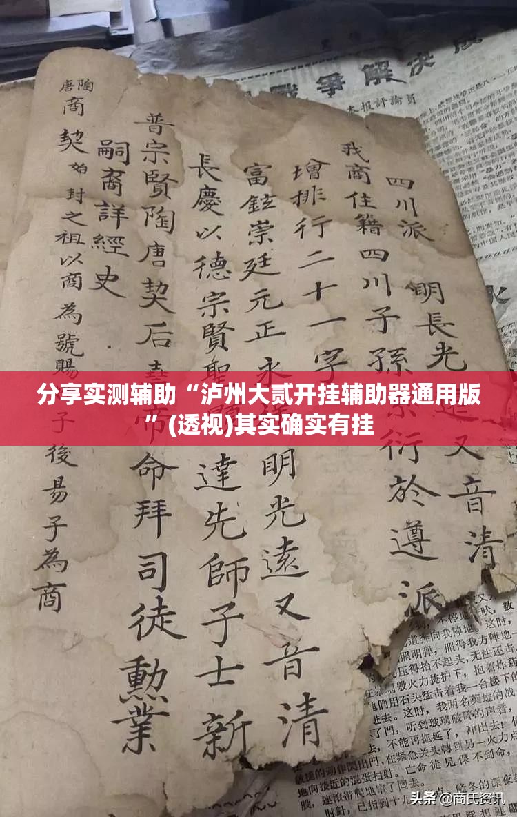 分享实测辅助“泸州大贰开挂辅助器通用版”(透视)其实确实有挂