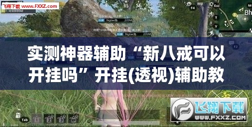 实测神器辅助“新八戒可以开挂吗”开挂(透视)辅助教程