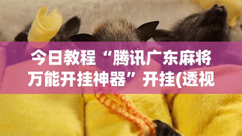 今日教程“腾讯广东麻将万能开挂神器”开挂(透视)辅助教程