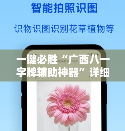 一键必胜“广西八一字牌辅助神器”详细开挂教程