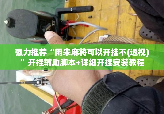 强力推荐“闲来麻将可以开挂不(透视)	”开挂辅助脚本+详细开挂安装教程