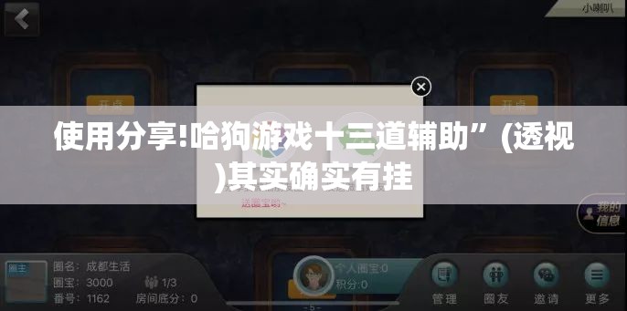 使用分享!哈狗游戏十三道辅助	”(透视)其实确实有挂