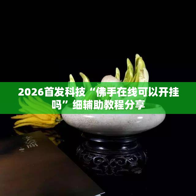 2026首发科技“佛手在线可以开挂吗”细辅助教程分享