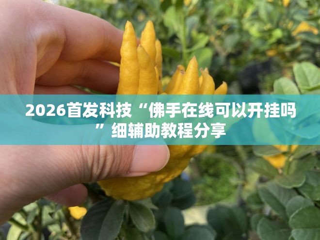 2026首发科技“佛手在线可以开挂吗”细辅助教程分享