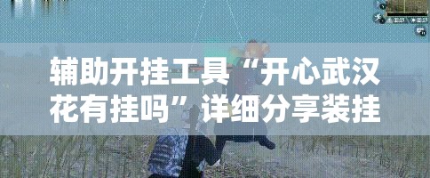 辅助开挂工具“开心武汉花有挂吗”详细分享装挂步骤