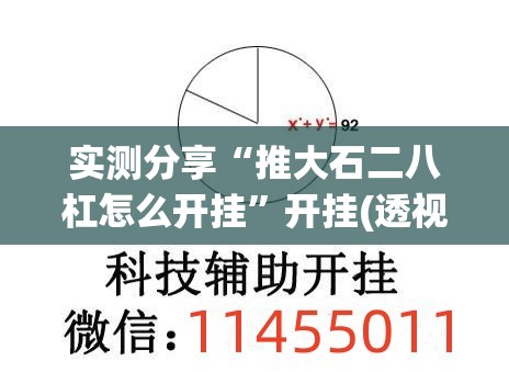 实测分享“推大石二八杠怎么开挂”开挂(透视)辅助教程