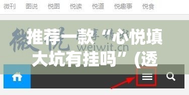 推荐一款“心悦填大坑有挂吗”(透视挂)辅助下载教程