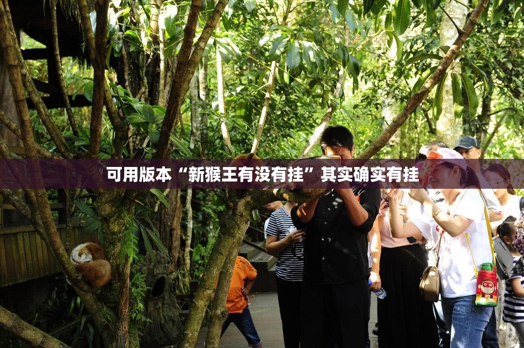 可用版本“新猴王有没有挂	”其实确实有挂