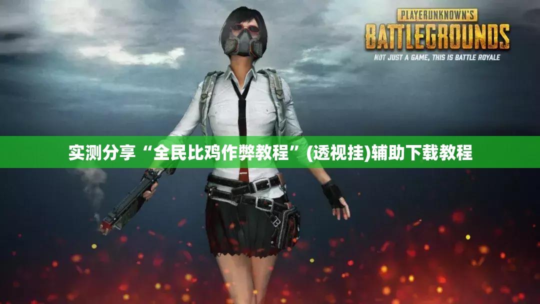 实测分享“全民比鸡作弊教程”(透视挂)辅助下载教程