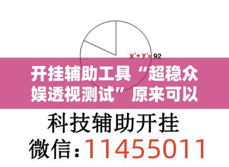 开挂辅助工具“超稳众娱透视测试”原来可以开挂