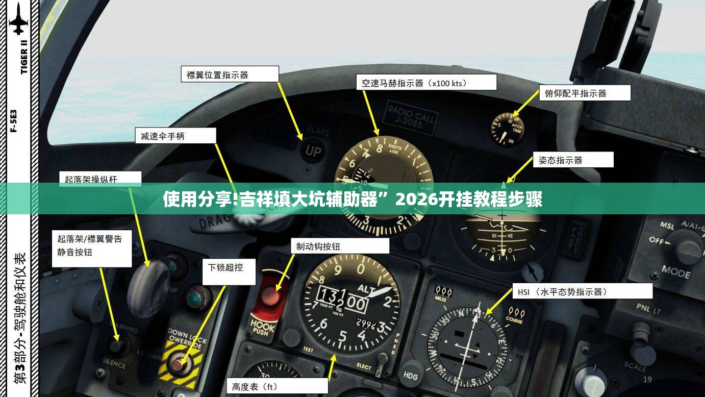 使用分享!吉祥填大坑辅助器	”2026开挂教程步骤