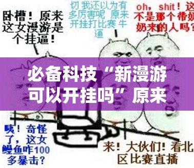 必备科技“新漫游可以开挂吗	”原来可以开挂