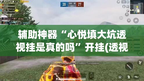 辅助神器“心悦填大坑透视挂是真的吗”开挂(透视)辅助教程