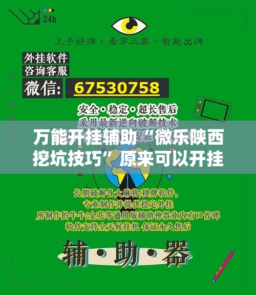 万能开挂辅助“微乐陕西挖坑技巧	”原来可以开挂