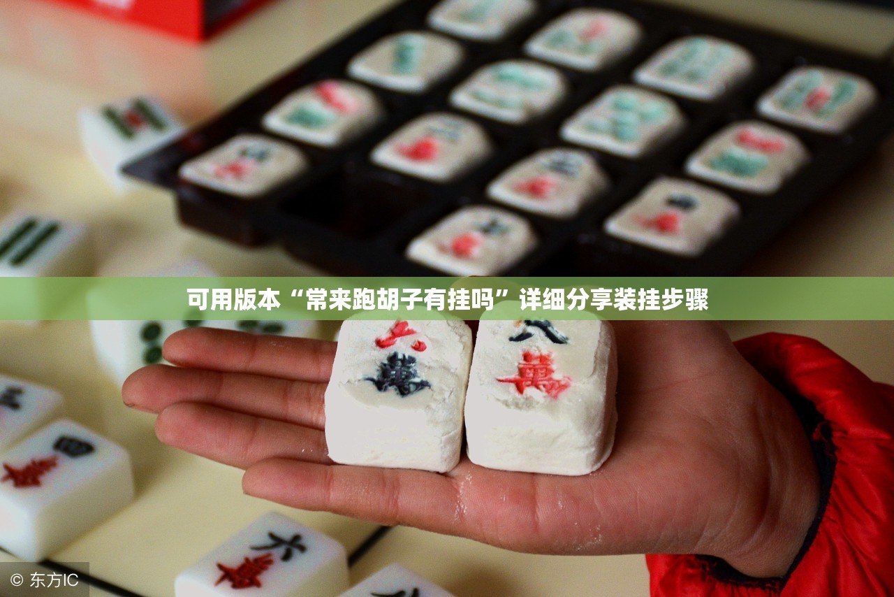可用版本“常来跑胡子有挂吗”详细分享装挂步骤