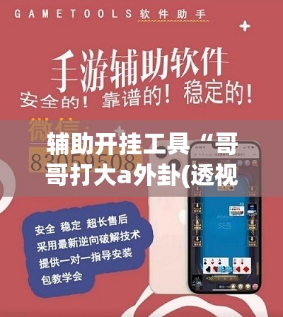 辅助开挂工具“哥哥打大a外卦(透视)	”开挂辅助脚本+详细开挂安装教程