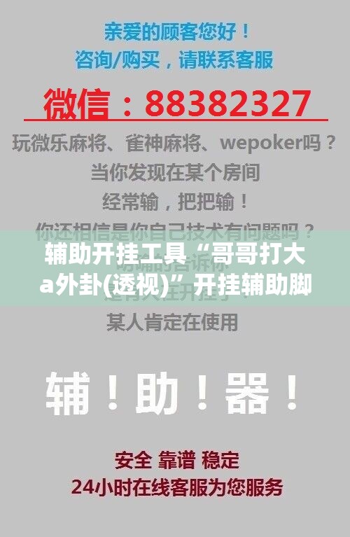 辅助开挂工具“哥哥打大a外卦(透视)”开挂辅助脚本+详细开挂安装教程