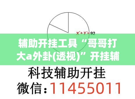 辅助开挂工具“哥哥打大a外卦(透视)”开挂辅助脚本+详细开挂安装教程