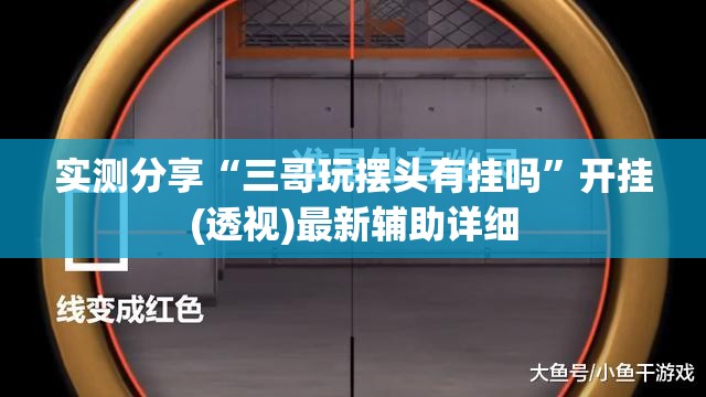 实测分享“三哥玩摆头有挂吗	”开挂(透视)最新辅助详细