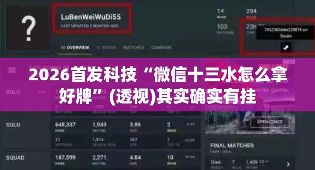 2026首发科技“微信十三水怎么拿好牌”(透视)其实确实有挂