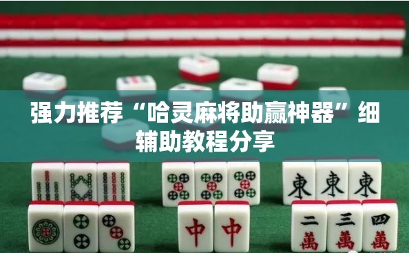 强力推荐“哈灵麻将助赢神器	”细辅助教程分享
