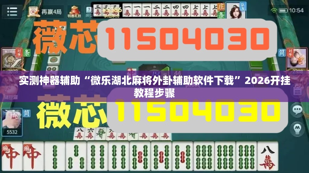 实测神器辅助“微乐湖北麻将外卦辅助软件下载”2026开挂教程步骤