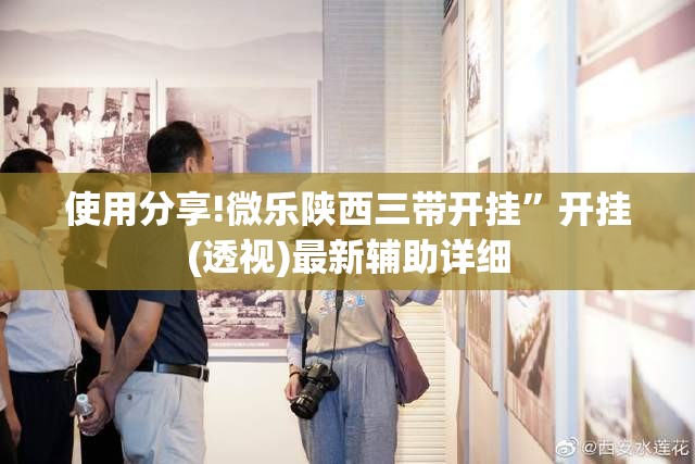 使用分享!微乐陕西三带开挂”开挂(透视)最新辅助详细