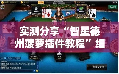 实测分享“智星德州菠萝插件教程”细辅助教程分享