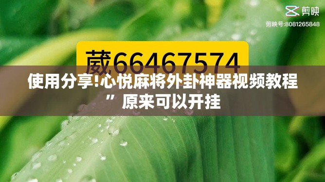 使用分享!心悦麻将外卦神器视频教程”原来可以开挂