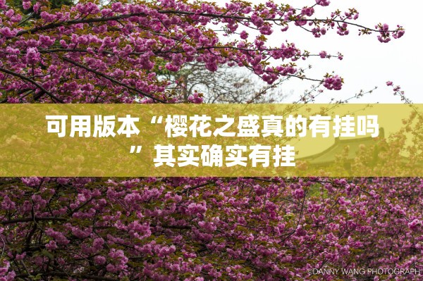 可用版本“樱花之盛真的有挂吗	”其实确实有挂