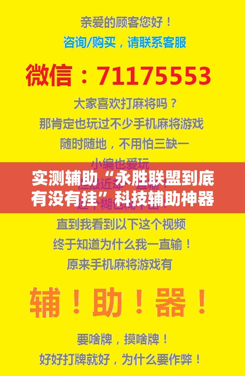 实测辅助“永胜联盟到底有没有挂”科技辅助神器手机版