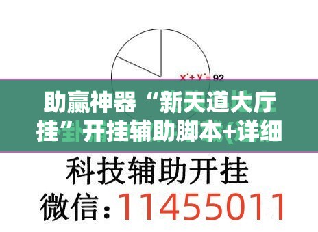 助赢神器“新天道大厅挂”开挂辅助脚本+详细开挂安装教程