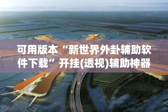 可用版本“新世界外卦辅助软件下载”开挂(透视)辅助神器