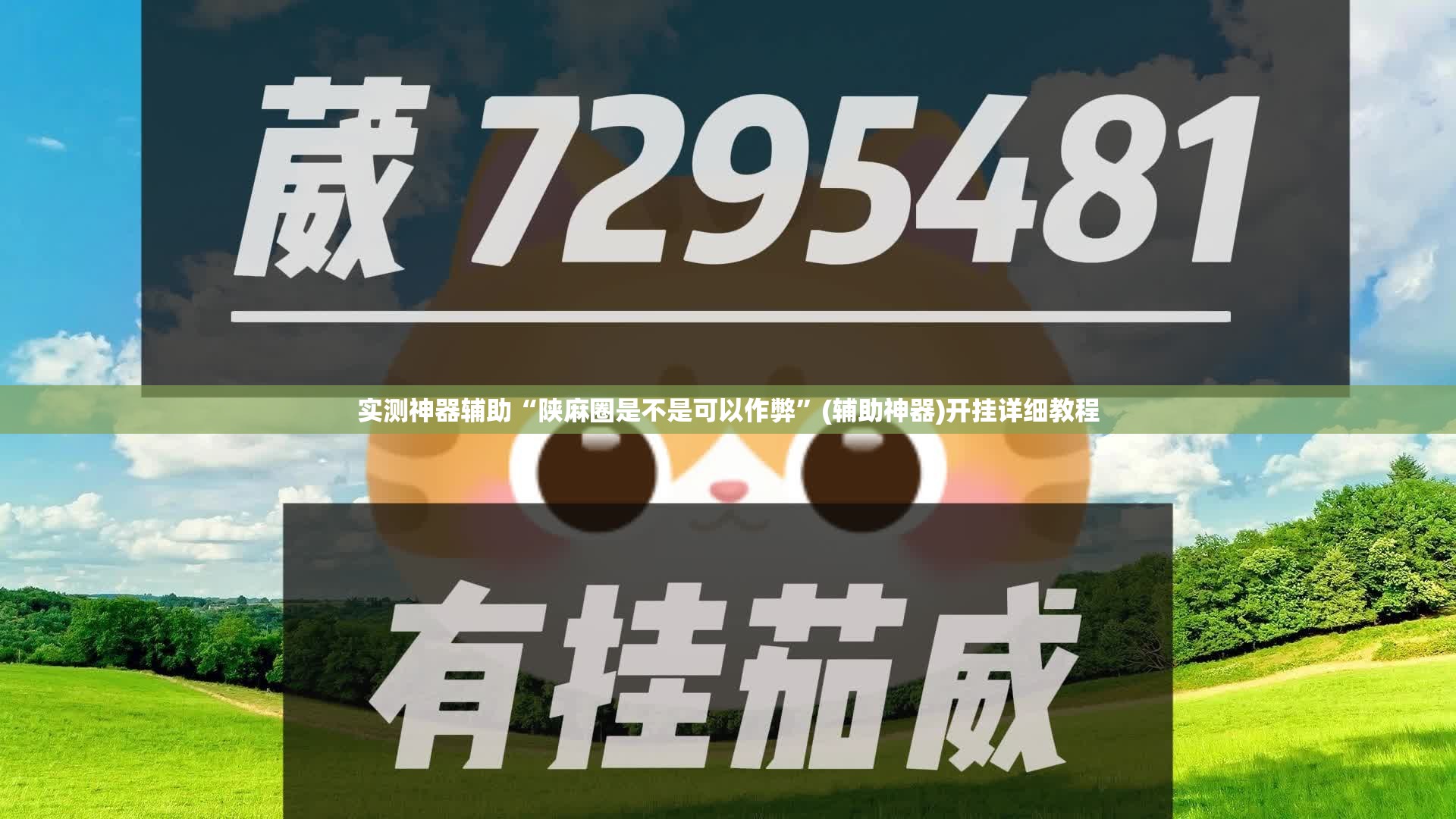 实测神器辅助“陕麻圈是不是可以作弊”(辅助神器)开挂详细教程