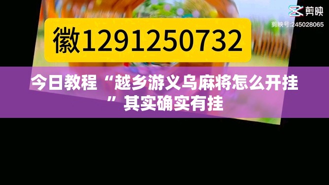 今日教程“越乡游义乌麻将怎么开挂”其实确实有挂