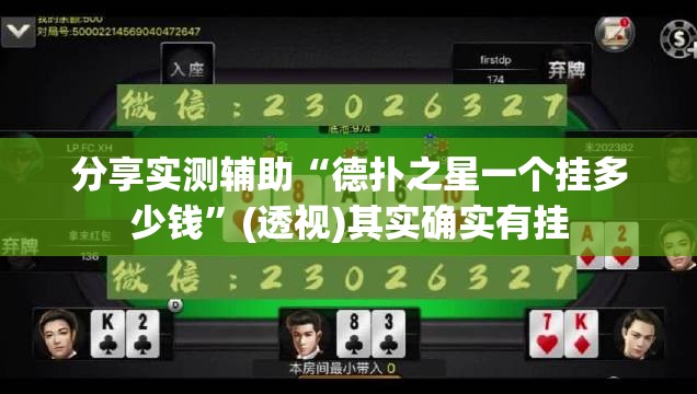 分享实测辅助“德扑之星一个挂多少钱”(透视)其实确实有挂