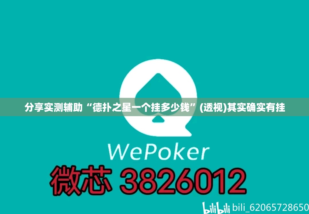 分享实测辅助“德扑之星一个挂多少钱”(透视)其实确实有挂