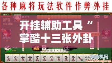 开挂辅助工具“掌酷十三张外卦辅助软件下载”细辅助教程分享