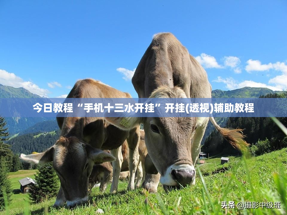 今日教程“手机十三水开挂”开挂(透视)辅助教程