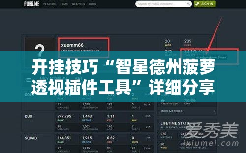 开挂技巧“智星德州菠萝透视插件工具”详细分享装挂步骤