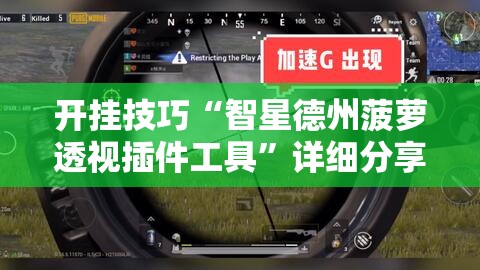 开挂技巧“智星德州菠萝透视插件工具”详细分享装挂步骤