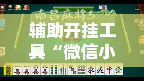 辅助开挂工具“微信小程序中至麻将到底有没有挂”原来可以开挂