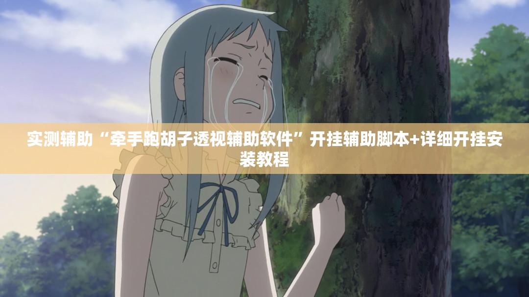 实测辅助“牵手跑胡子透视辅助软件”开挂辅助脚本+详细开挂安装教程