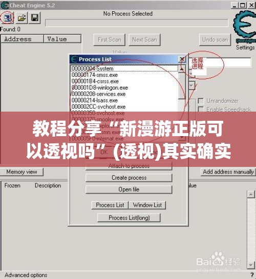 教程分享“新漫游正版可以透视吗”(透视)其实确实有挂