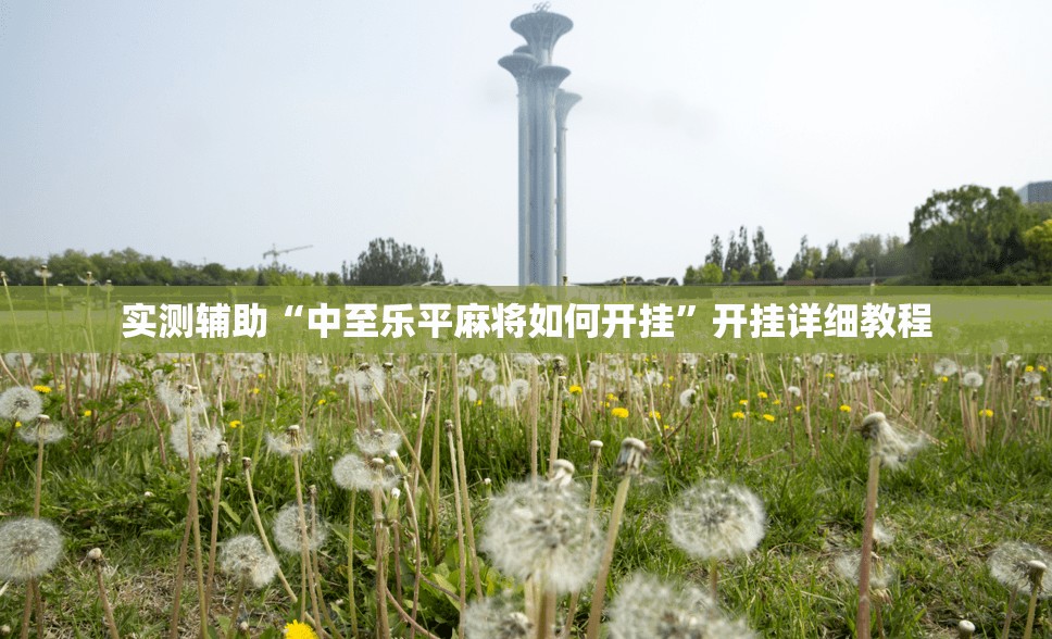 实测辅助“中至乐平麻将如何开挂	”开挂详细教程