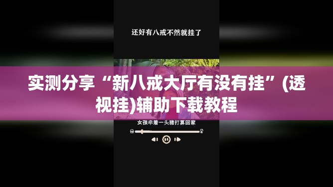 实测分享“新八戒大厅有没有挂”(透视挂)辅助下载教程