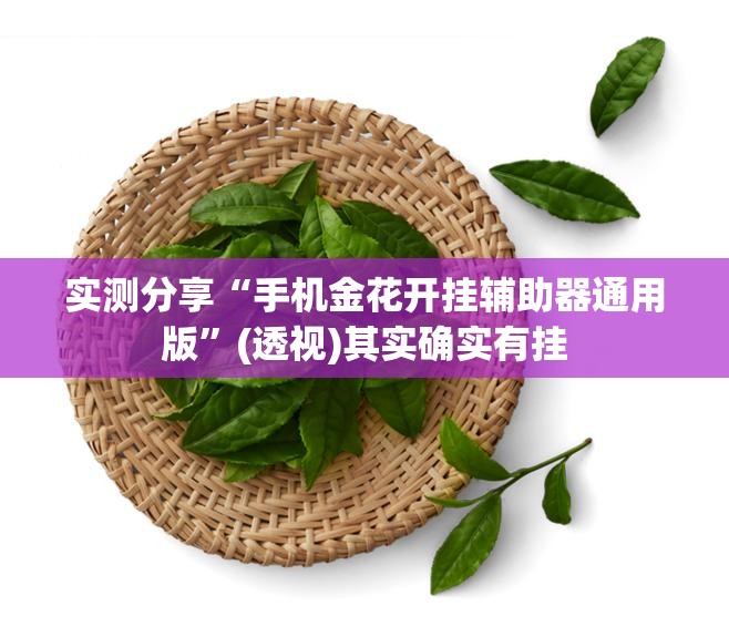 实测分享“手机金花开挂辅助器通用版”(透视)其实确实有挂