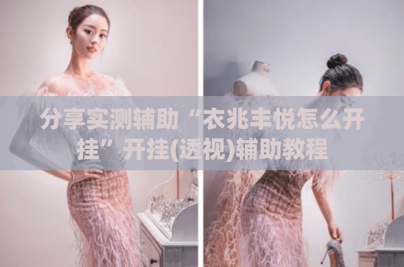 分享实测辅助“衣兆丰悦怎么开挂”开挂(透视)辅助教程