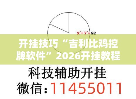 开挂技巧“吉利比鸡控牌软件”2026开挂教程步骤